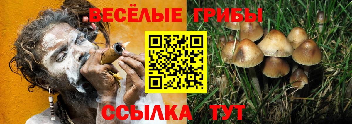Галлюциногенные грибы Magic Shrooms  Галлюциногенные грибы ЛСД  Курчалой  Вход с VPN 